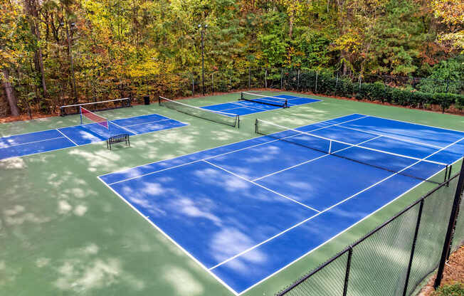 A tennis court surrounded by trees in autumn.