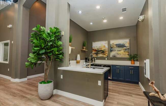 a view of a hotel lobby with a plant in the corner