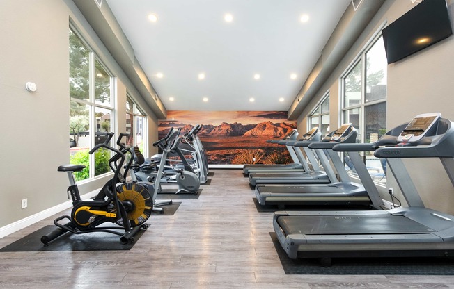 a gym with cardio machines and a wall mural of a mountain