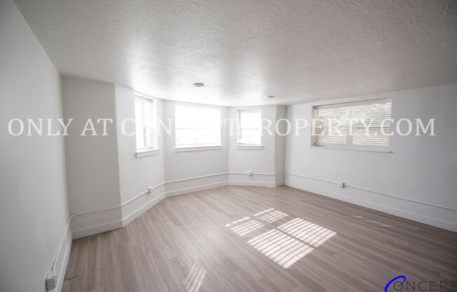 1 bed, 1 bath, 570 sqft, $1,349, Unit 02