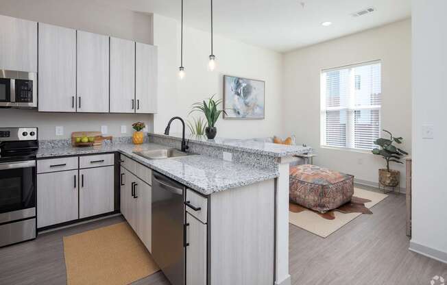 A kitchen with a granite countertop and stainless steel appliances.