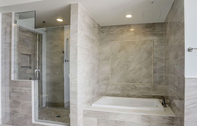 a shower and a bath tub in a marble bathroom