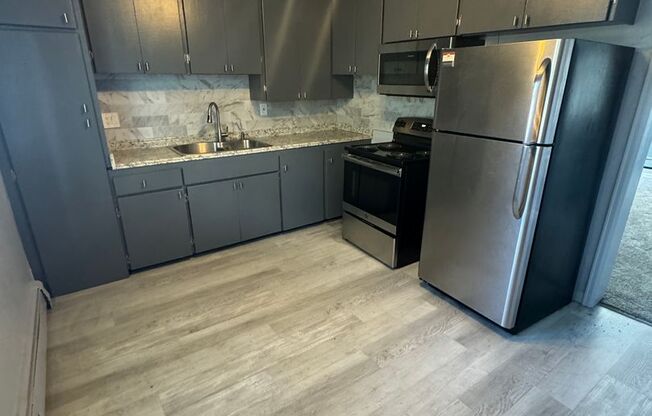 Updated 2 Bedroom 2 Bathroom with Bonus room!