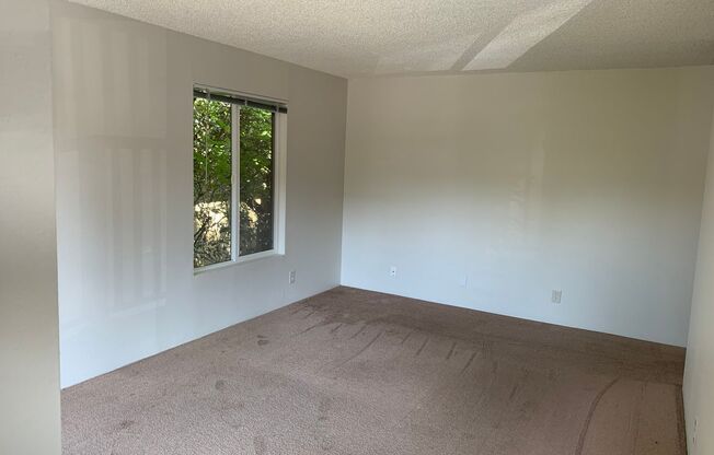 1 bed, 1 bath, 600 sqft, $1,495