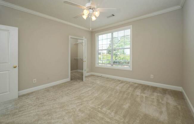 A room with a ceiling fan and carpeted floor.