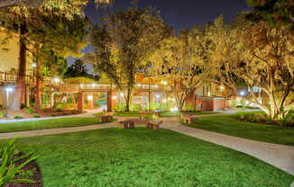 a park with benches and grass and trees at night