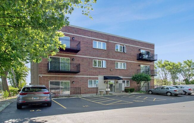 Oak Forest Hidden Gem