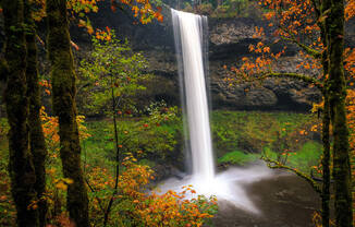 a waterfall in the woods at Monroe Avenue Apartments, Salem, Oregon