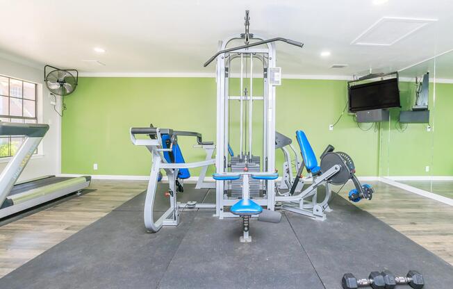 A modern gym interior featuring exercise equipment, including a multi-gym machine, a stationary bike, a treadmill, and free weights. The walls are painted green, enhancing the bright and spacious atmosphere. Large windows allow natural light, and thereâs a wall-mounted TV for entertainment.