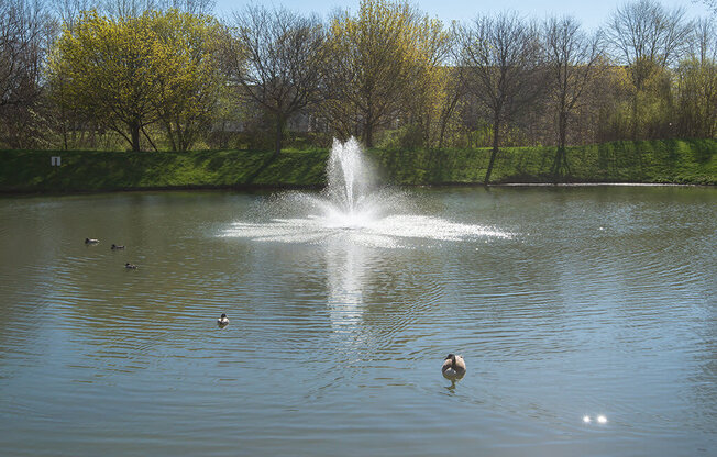 a fountain in the middle of a lake with ducks