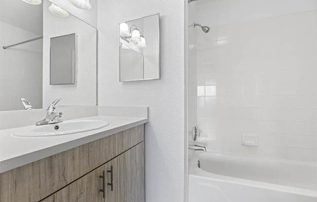 a bathroom with a sink and a shower and a mirror