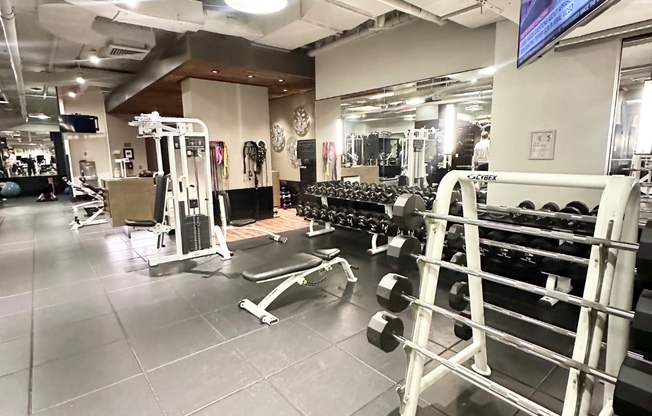 1 bed, 1 bath, $7,000, Unit 8B