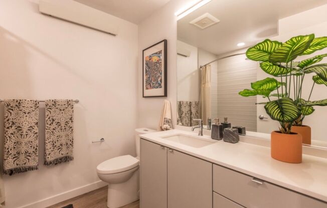 1 bed, 1 bath, 645 sqft, $1,750, Unit 208