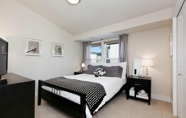 Gorgeous Green Built Ballard Townhome