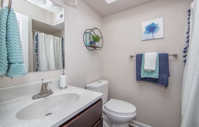 bathroom with single sink counter and toilet in Brittany Place Apartments in Norfolk VA