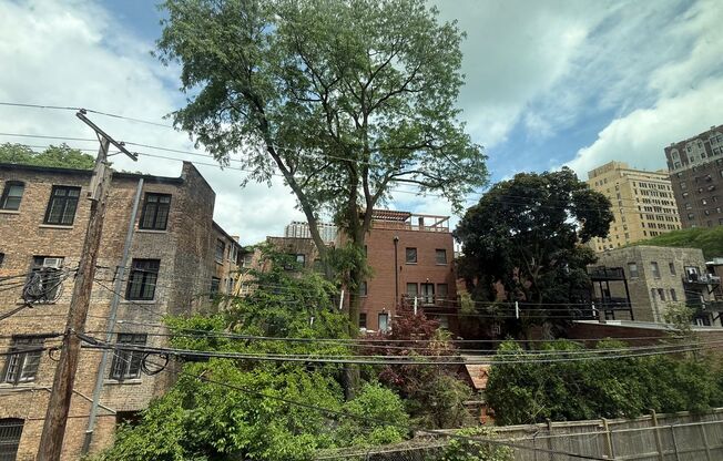1 bed, 1 bath, $2,095, Unit 363