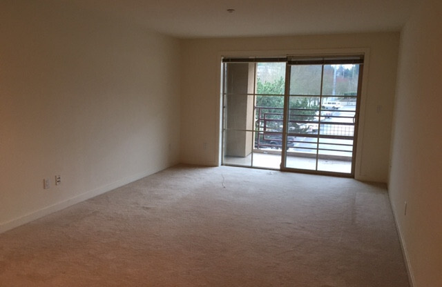 1 bed, 1 bath, 725 sqft, $2,200, Unit NC213