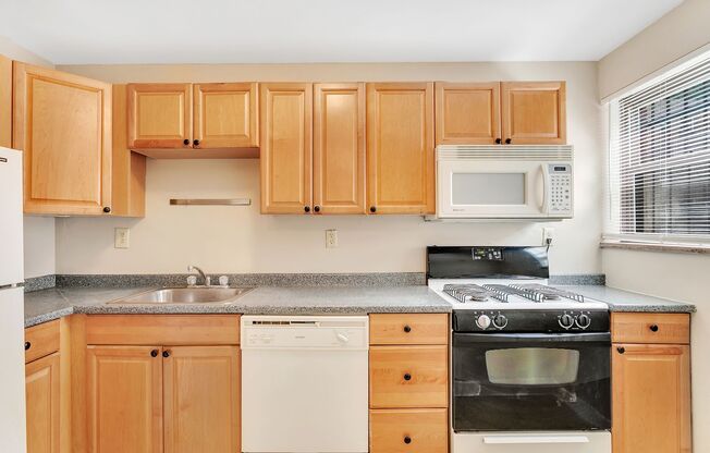 Treehaven Apartments