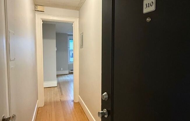 Studio, 1 bath, 280 sqft, $925, Unit 310
