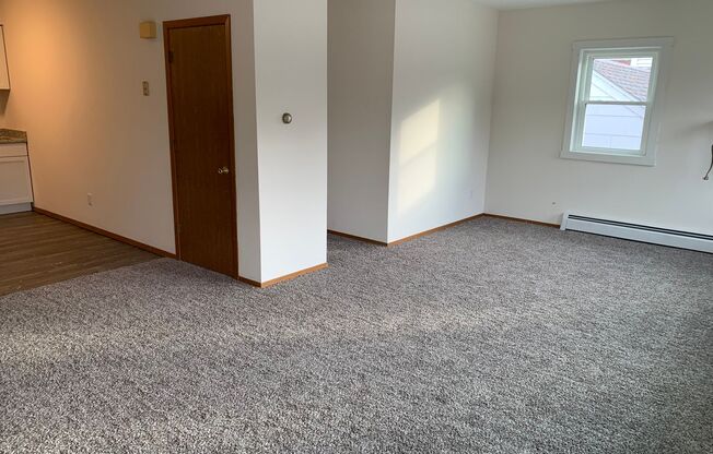 1 bed, 1 bath, 1,000 sqft, $1,049, Unit Apt A