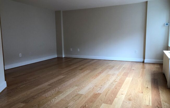Studio, 1 bath, 460 sqft, $2,200, Unit 0116