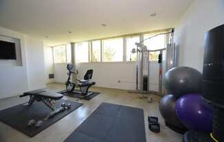 Mar Vista Lofts - Fitness Center