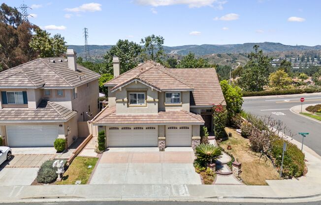 Modern Luxury: 1 Peacock Ct, Aliso Viejo