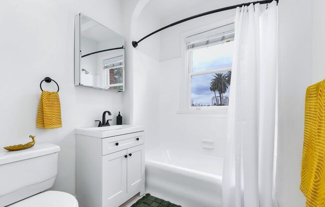 Studio, 1 bath, 510 sqft, $1,900, Unit 411