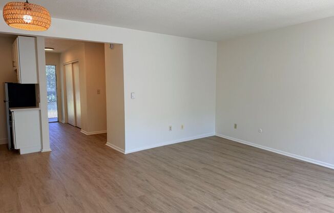 Studio, 1 bath, 534 sqft, $1,550, Unit 305