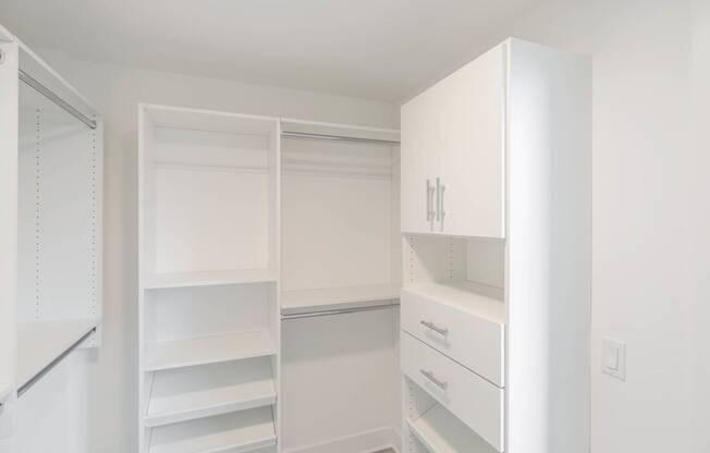 Premium Luxury Units Master Closet