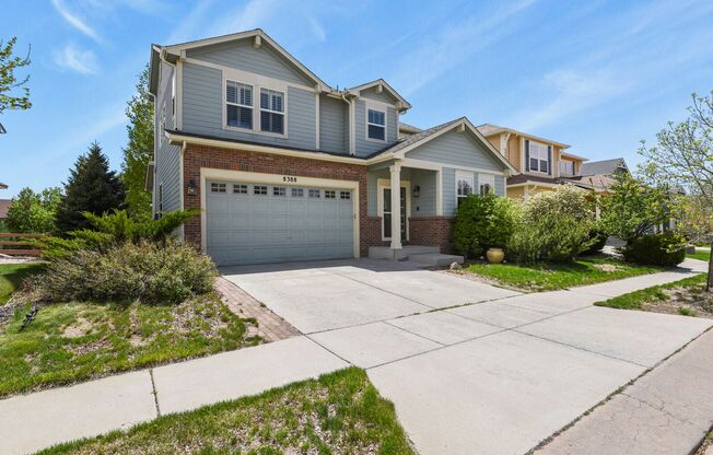 Wolf Ranch Rental in Academy D20 School District