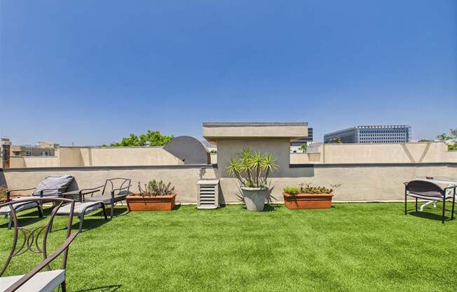 A backyard with a lawn, chairs, and potted plants.