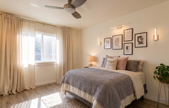 62nd Ave Apartments - Located in Central Ballard