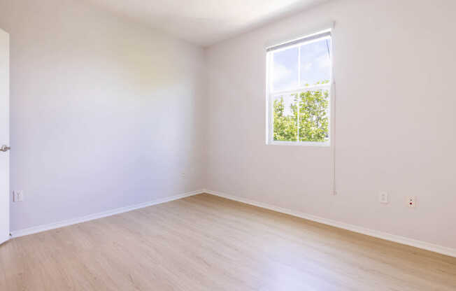 Bedroom with Hard Surface Flooring