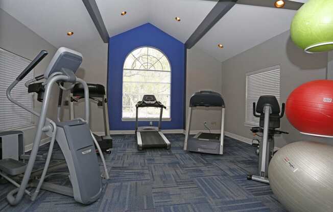 Stonegate Apartments in Palm Harbor, FL photo of Fitness center- cardio machines
