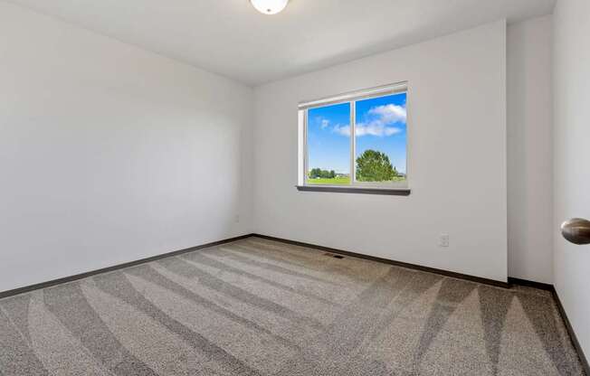A room with a carpeted floor and a window showing a green tree and blue sky.