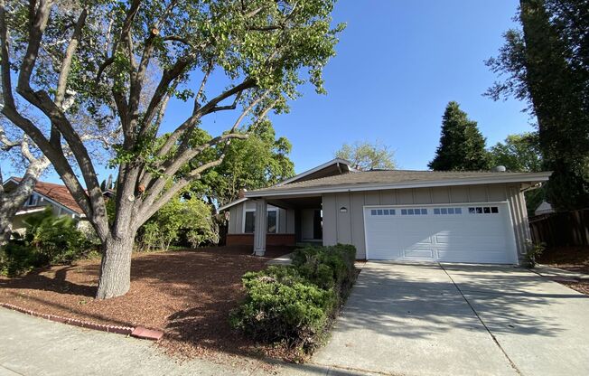 ALMADEN VALLEY - Spacious single story home with fenced yard, great location