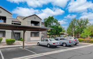 1 bed, 1 bath, $1,200, Unit # 1172