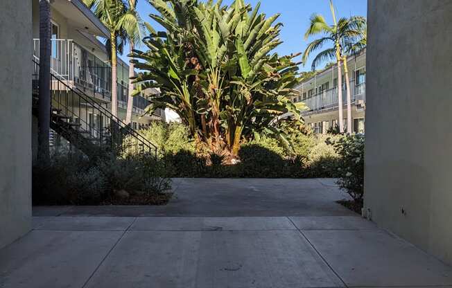 Lush trees and gardens in the courtyard of Los Robles Apartments in Pasadena, California.