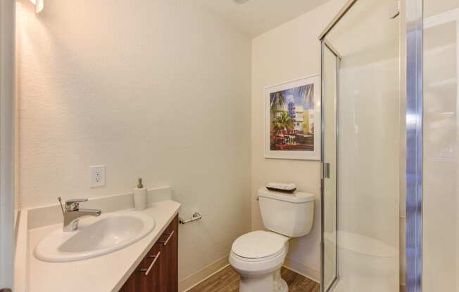 Bathroom with Shower at Canyon Terrace Apartments, California, 95630