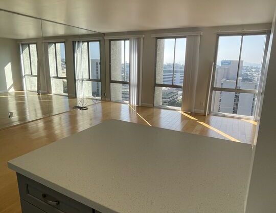 Studio, 1 bath, 481 sqft, $2,250, Unit 1209