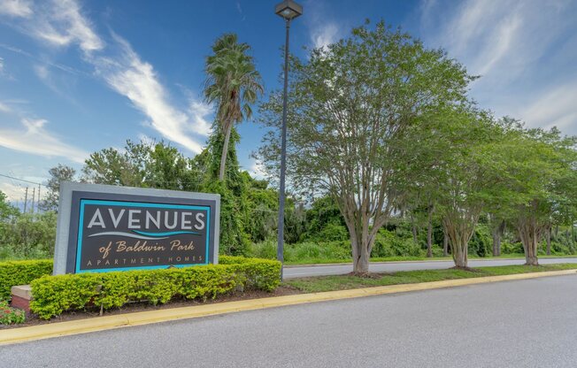 Welcome Home to The Avenues of Baldwin Park in Orlando, FL