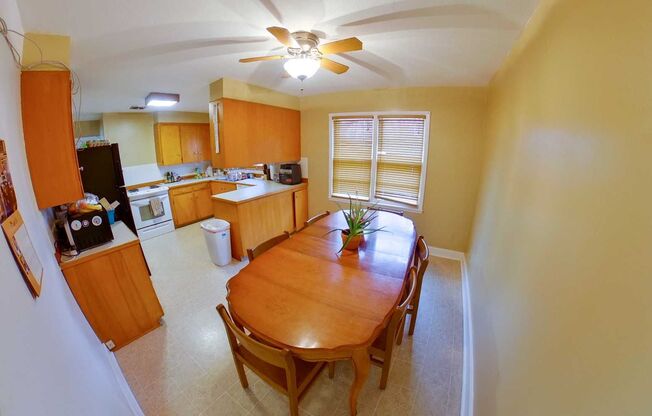 3D Tour Available! Huge House with Two Kitchens + Fenced-in Yard + Washer & Dryer! Available August 1st!