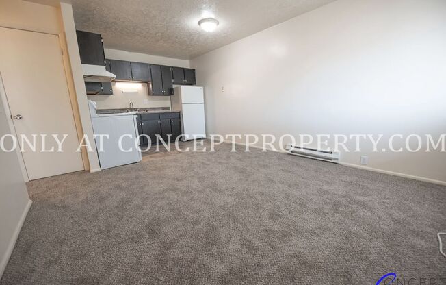 1 bed, 1 bath, 480 sqft, $899, Unit 190