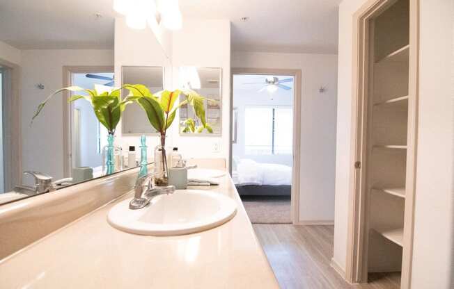 a bathroom with a sink and a mirror and a closet