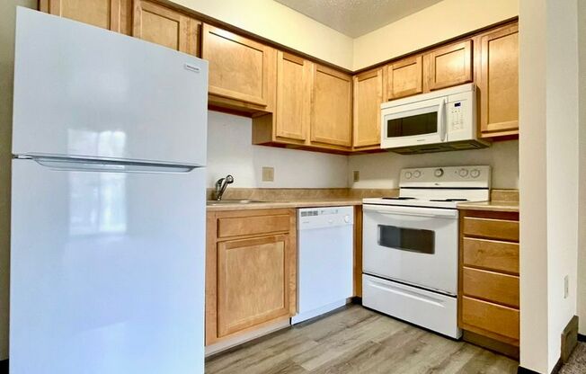 1 bed, 1 bath, 450 sqft, $800, Unit 11-04