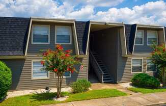 Backside Exterior at Auburn Glen Apartments, Jacksonville