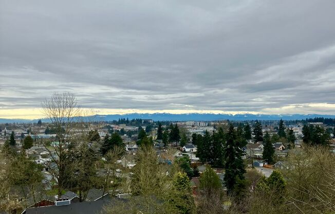 1 bed, 1 bath, 740 sqft, $1,399, Unit 1H