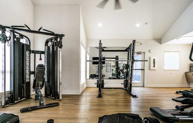 a home gym with weights and cardio equipment