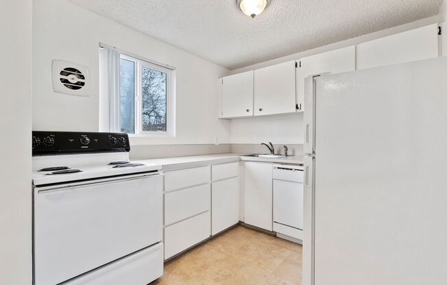 1 bed, 1 bath, 500 sqft, $1,195, Unit 43